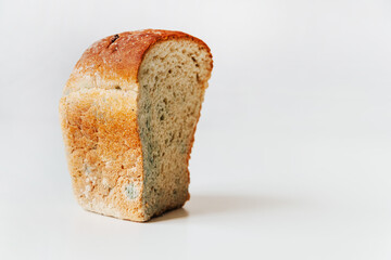 Cut piece of spoiled wheat bread with mold isolated on a white background