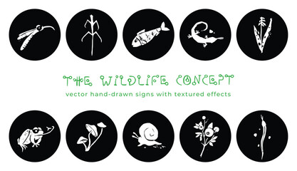 Vector wildlife signs. Hand drawn illustration of animal kingdom, wildlife area emblem. Vector floral drawing. Linoleum print texture. Protected areas symbols design. Engraved wildland icon. - 765673448