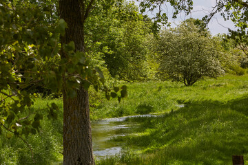 Fototapeta premium Naturschutzgebiet Pöppelsche Talsystem, Erwitte, Kreis Soest, NRW, Deutschland, 2023