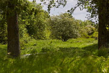 Obraz premium Naturschutzgebiet Pöppelsche Talsystem, Erwitte, Kreis Soest, NRW, Deutschland, 2023