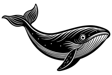 Whale silhouette  vector art illustration