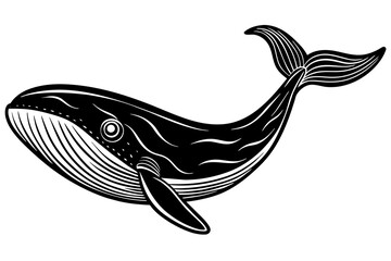 Whale silhouette  vector art illustration