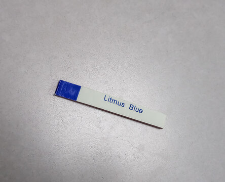 Blue litmus paper for alkaline or acidic solution identify. Isolated on white background. Ph test peper.