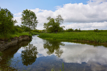 Fototapeta na wymiar Naturschutzgebiet Pöppelsche Talsystem, Erwitte, Kreis Soest, NRW, Deutschland, 2023