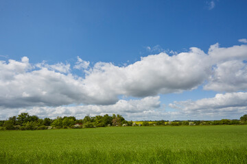 Naturschutzgebiet Pöppelsche Talsystem, Erwitte, Kreis Soest, NRW, Deutschland, 2023