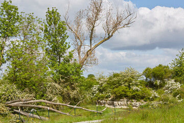 Naturschutzgebiet Pöppelsche Talsystem, Erwitte, Kreis Soest, NRW, Deutschland, 2023