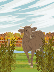 The cow grazes on the field in autumn. Farm and farm animal. Realistic vector vertical landscape