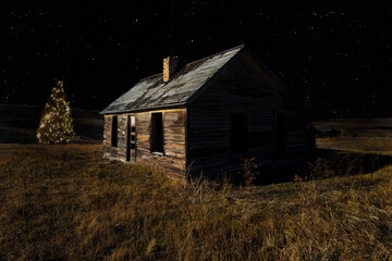 Obraz premium Christmas tree outside an abandoned settler's cabit