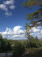 Obraz premium clouds over the forest