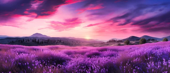 Fotobehang Fields  of Purple Lavender with a Sunset on the background © bardhok