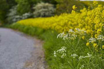 Naturschutzgebiet Pöppelsche Talsystem, Erwitte, Kreis Soest, NRW, Deutschland, 2023