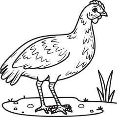 Domestic animals coloring pages. Domestic animals outline vector