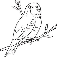 Domestic animals coloring pages. Domestic animals outline vector