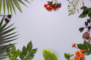 Composition made of meadow flowers and leaves on gray background. Flat lay. View from above