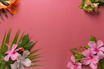 Composition made of meadow flowers and leaves on pink background. Flat lay. View from above