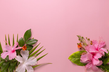 Composition made of meadow flowers and leaves on pink background. Flat lay. View from above