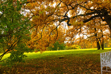 PUSHKIN, ST. PETERSBURG, RUSSIA - OCTOBER 21, 2024: View of Catherine Park in autumn