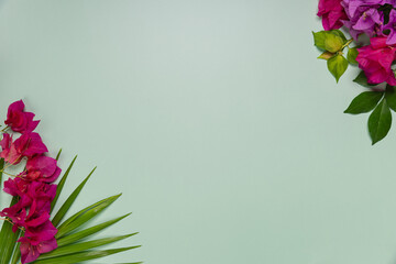 Picture frame of Thai flowers on green background.