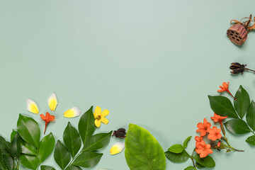 Picture frame of Thai flowers on green background.