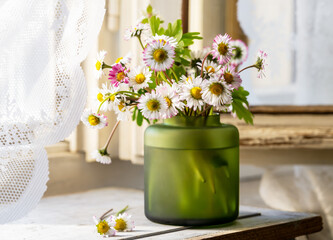 Daisy Flowers in Green Vase by Window
