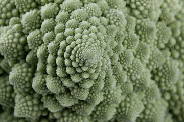 details of a biological example of Fibonacci spirals and fractals in nature using a Romanesco...