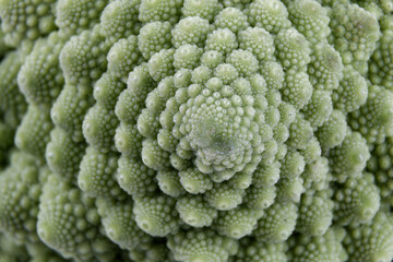 details of a biological example of Fibonacci spirals and fractals in nature using a Romanesco...