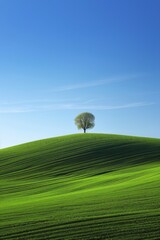 A green hillside with a blue sky in the background