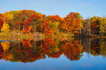 colorful autumn foliage on trees surrounding marthaler pond in west saint paul minnesota during autumn