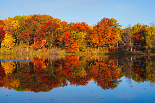 colorful autumn foliage on trees surrounding marthaler pond in west saint paul minnesota during autumn