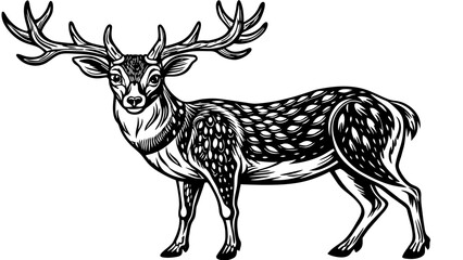 silhouette of a deer vector illustration