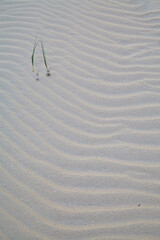 Borkum, Niedersachsen