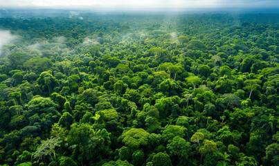 Aerial view of Amazon rainforest in Brazil, South America. Green forest. Bird`s-eye view.