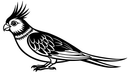 Birds and svg file