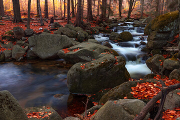 Wodospad na rzece Podgórna (Przesieka) jesienią w otoczeniu lasu w górach Karkonosze - obrazy, fototapety, plakaty