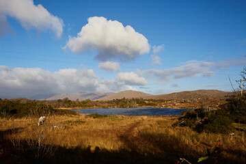 Fototapeta premium Irland, Insel Winter 2016 & 2017