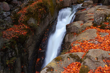 Wodospad Podgórnej jesienną porą, wodospad w Karkonoszach (Przesieka).	