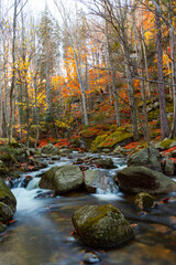 Górski potok Podgórna (Przesieka) jesienią w otoczeniu lasu w górach Karkonosze