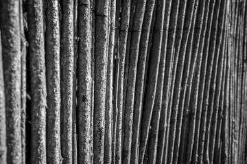 weathered reed fence structure