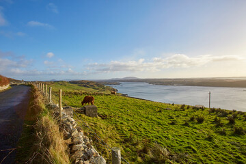 Irland, Insel Winter 2016 & 2017