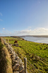 Irland, Insel Winter 2016 & 2017