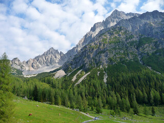 Fototapeta na wymiar Bergspitzen des Dachsteinmassivs und blauer Himmel mit weißen Wolken.