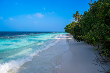 A beautiful sandy beach near a dense tropical forest.