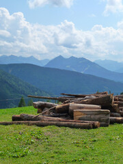 Ein Holzstapel auf einer Wiese, im Hintergrund ein Bergpanorama.