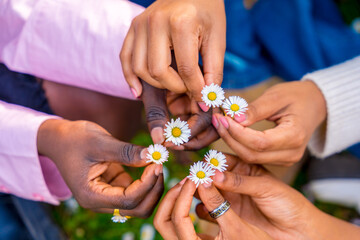 Friends holding flowers and putting together in circle