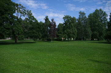 Fototapeta na wymiar lawn and trees in the morning