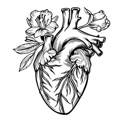 Human heart with flowers, love and emotion concept