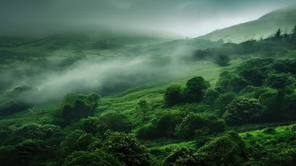 Fototapete Lush green landscape shrouded in mist © YarikL