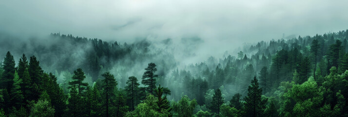 misty  forest with fog in the mountains, Misty landscape with fir forest in hipster vintage retro style. dark green Misty landscape with fir forest banner - 765743201