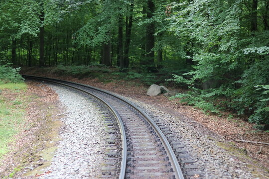 railroad tracks in the forest
