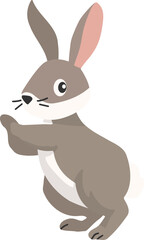 Obraz premium Cute rabbits, wild animals and pets, Easter